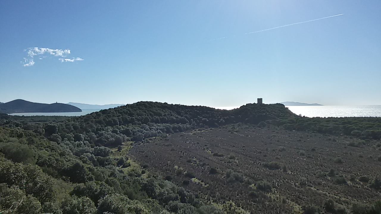 panorama cala di forno e torri del parco della maremma